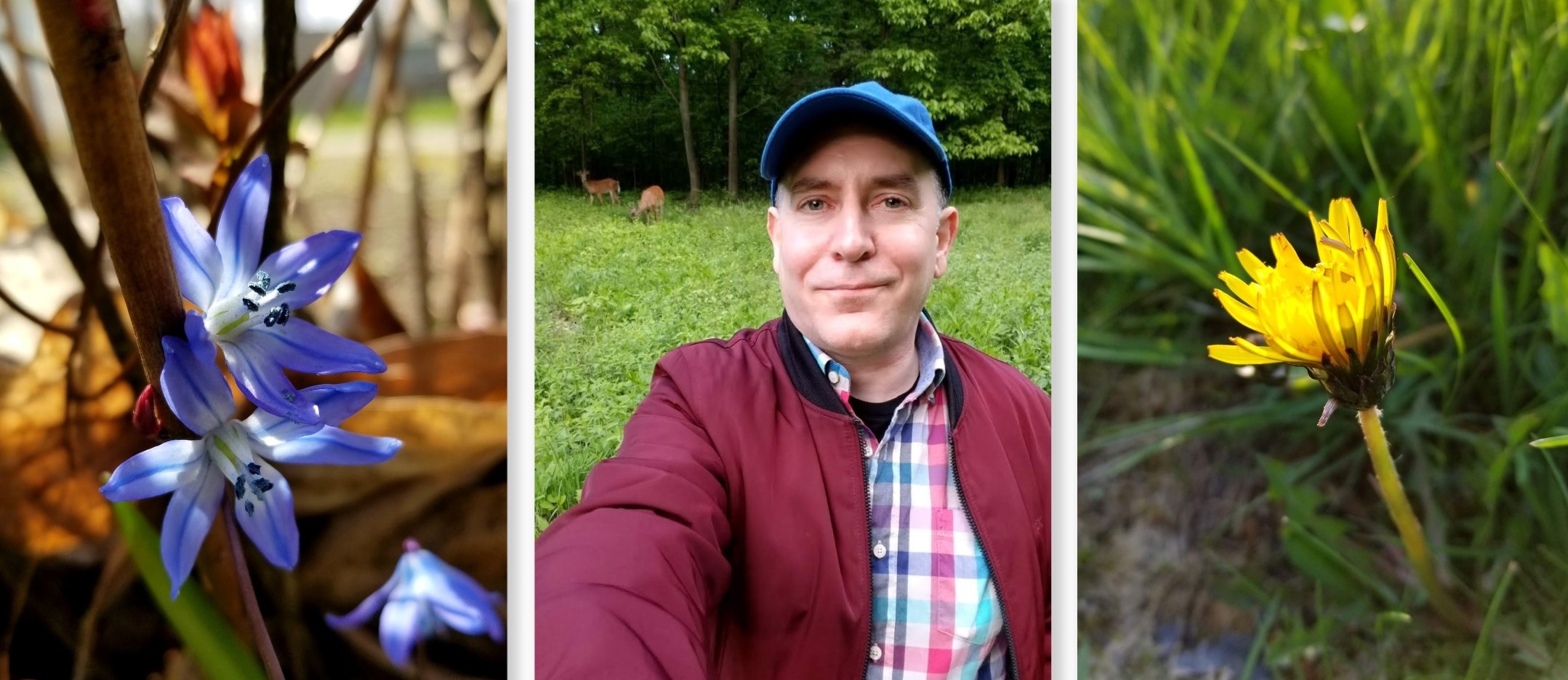 Nature Collage